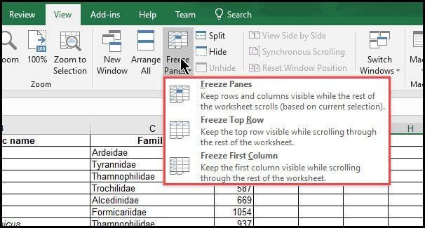 How To Lock Title Cells In Excel